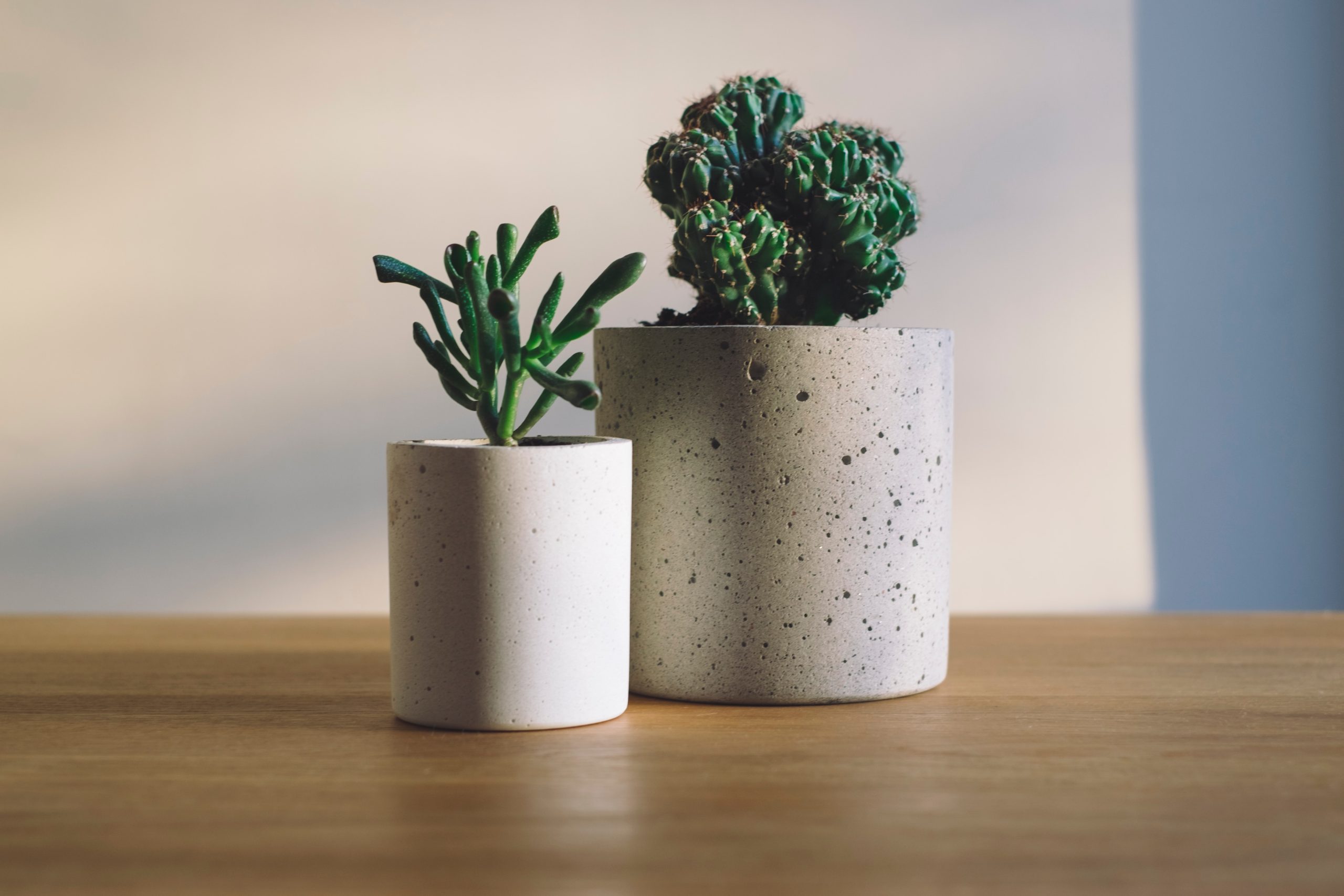 , Proyectos de Decoración DIY: Crea un Hogar Elegante y Moderno, Grupo Residencial